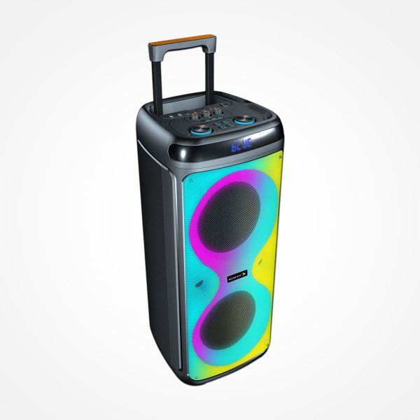 03-BETA-08-Black Enceinte sans fil modèle BETA-08