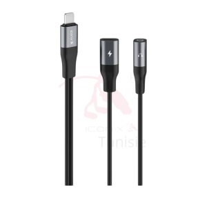 21_20250313_114406_0002 Adaptateur double type modèle IC-AX2215