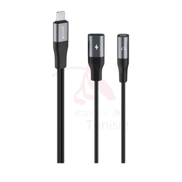 Adaptateur double type modèle IC-AX2215