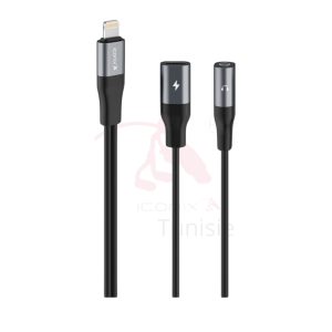 22_20250313_114406_0003 Adaptateur Lightning double modèle IC-AX2214