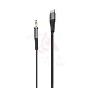 Convertisseur auxiliaire de type modèle IC-AX2217