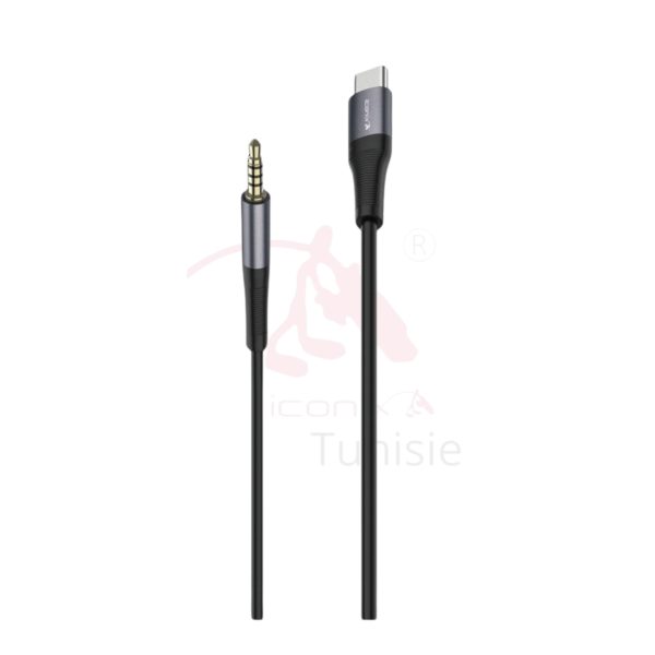 Convertisseur auxiliaire de type modèle IC-AX2217