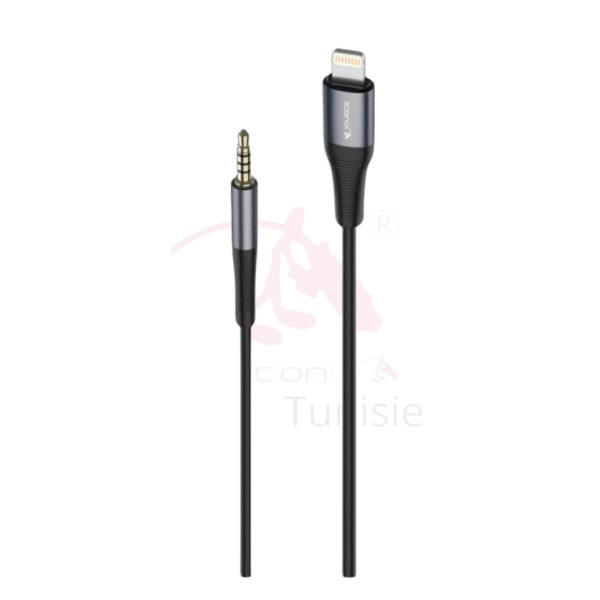 Convertisseur auxiliaire Iphon vers 3,5 mm, modèle IC-AX2216