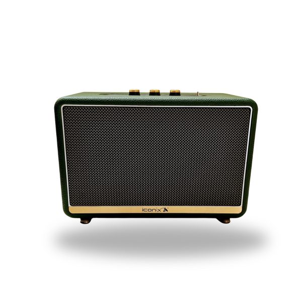 Haut-parleur Modèle DELTA-02