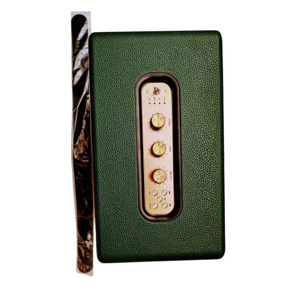 Haut-parleur Modèle DELTA-02