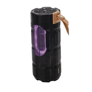 1355_20241201_001313_0001 Haut-parleur sans fil Modèle IC-BS1355